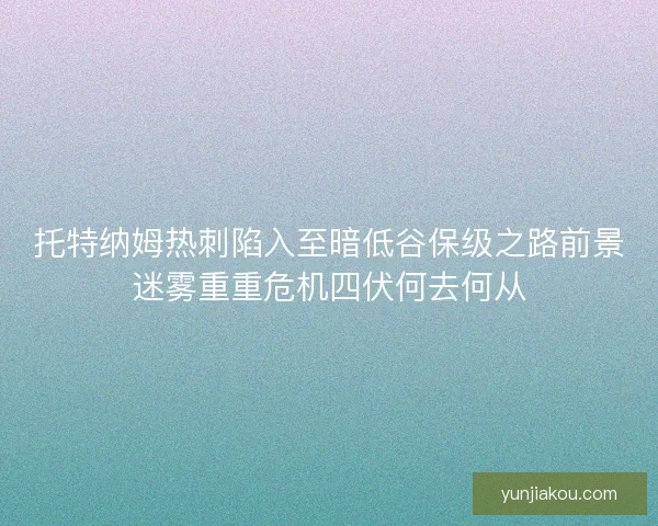 托特纳姆热刺陷入至暗低谷保级之路前景迷雾重重危机四伏何去何从